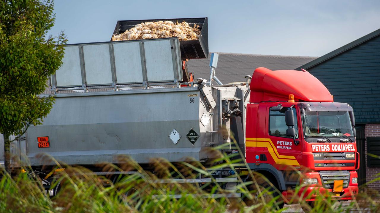 Getroffen boer over vogelgriep: 'Je voelt de tranen komen'