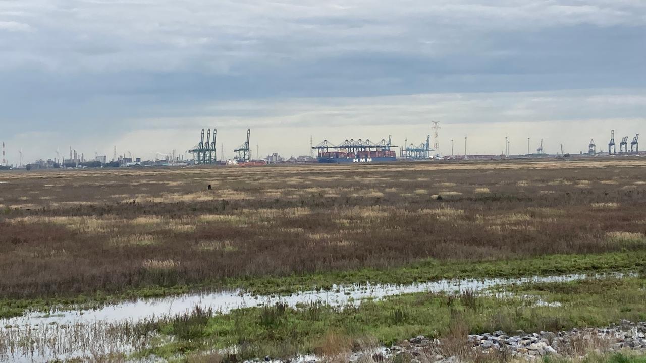 Na zeventien jaar gesteggel stroomt er eindelijk water de Hedwigepolder in