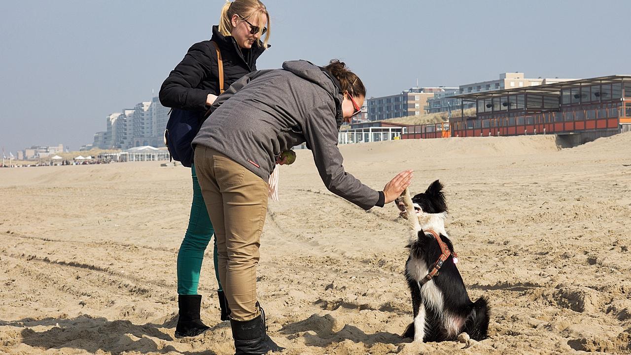 Weerbericht: Eerst code geel voor mist, daarna zomerse temperaturen