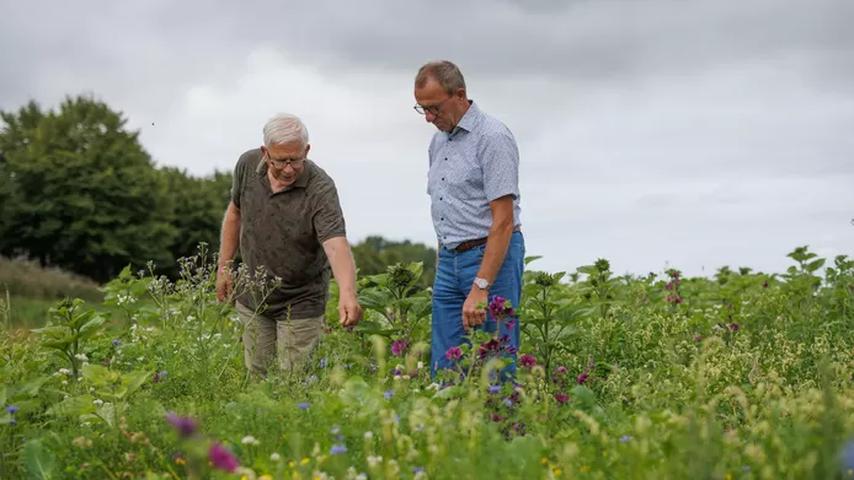 Boeren die stukjes land opofferen voor meer patrijzen