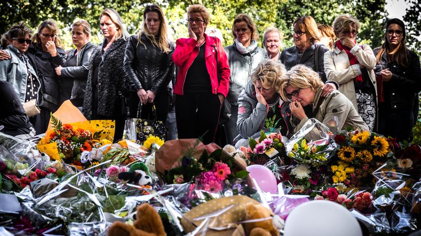 De Stint krijgt groen licht: hoe het ondanks kritische adviezen toch de weg op mocht.