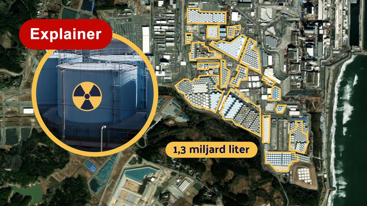 Geen radioactieve stoffen aangetroffen in vissen na het dumpen van afvalwater uit Fukushima