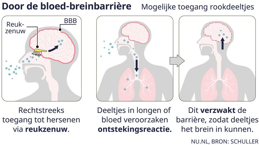 Hoe natuurbranden invloed hebben op je gezondheid, zelfs als de brand ver weg is