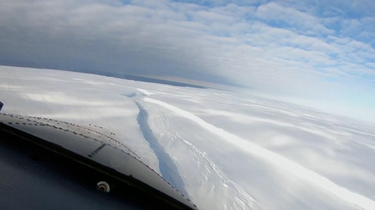 Keizerspinguïns in gevaar door snel afbrokkelend zee-ijs