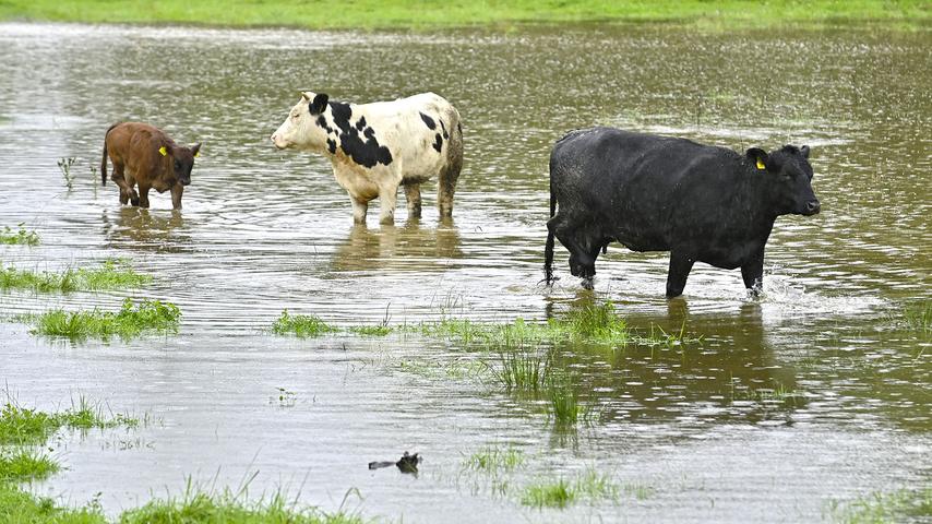 Modderstromen en overstromingen veroorzaakt door noodweer in Oostenrijk en Zwitserland