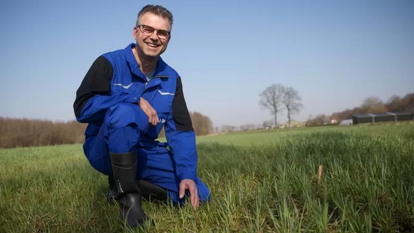 Drie kwart van de melkveehouders enthousiast over kruidige weilanden