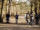 Opmerkelijke Temperatuurdaling in Oktober