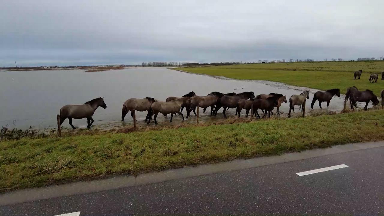 Gevolgen van hevige regenval tijdens Kerstdag voor Oost- en Zuid-Nederland: ondergelopen wegen en kelders.