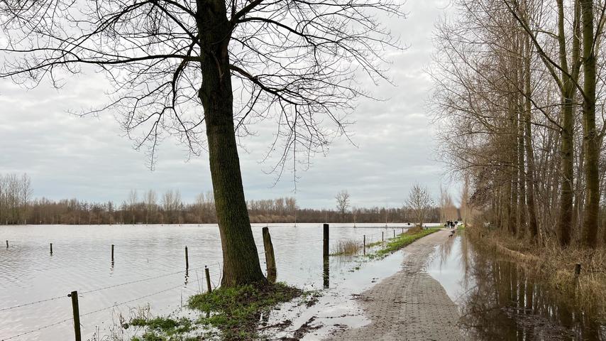 Het beheersen van hoogwater in Nederland: mogelijkheden voor het wegpompen en tijdelijk opslaan