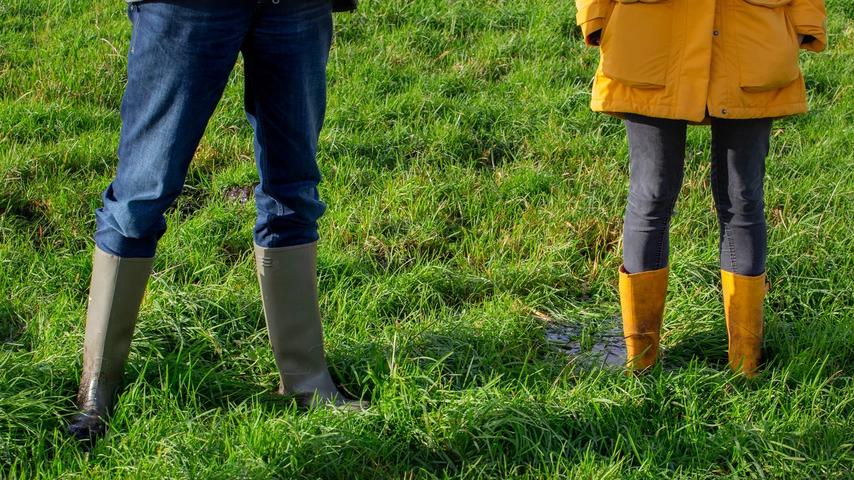 Het Groene Hart profiteert van de vernatting ten gunste van de natuur.