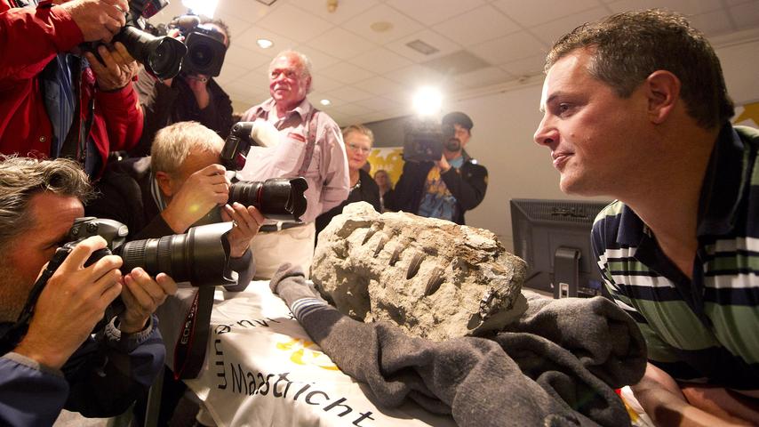 Maastricht streeft naar teruggave van schedel van mosasaurus uit Parijs