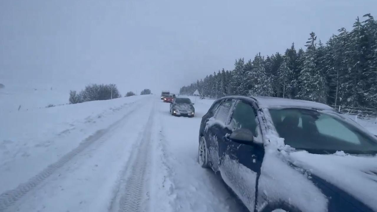 Storm Gerrit veroorzaakt sneeuwval en omgevallen bomen in Schotland