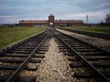 Veiligheidsdienst onderzoekt activiteiten van Auschwitz ComitÃ© en Holocaustoverlevenden